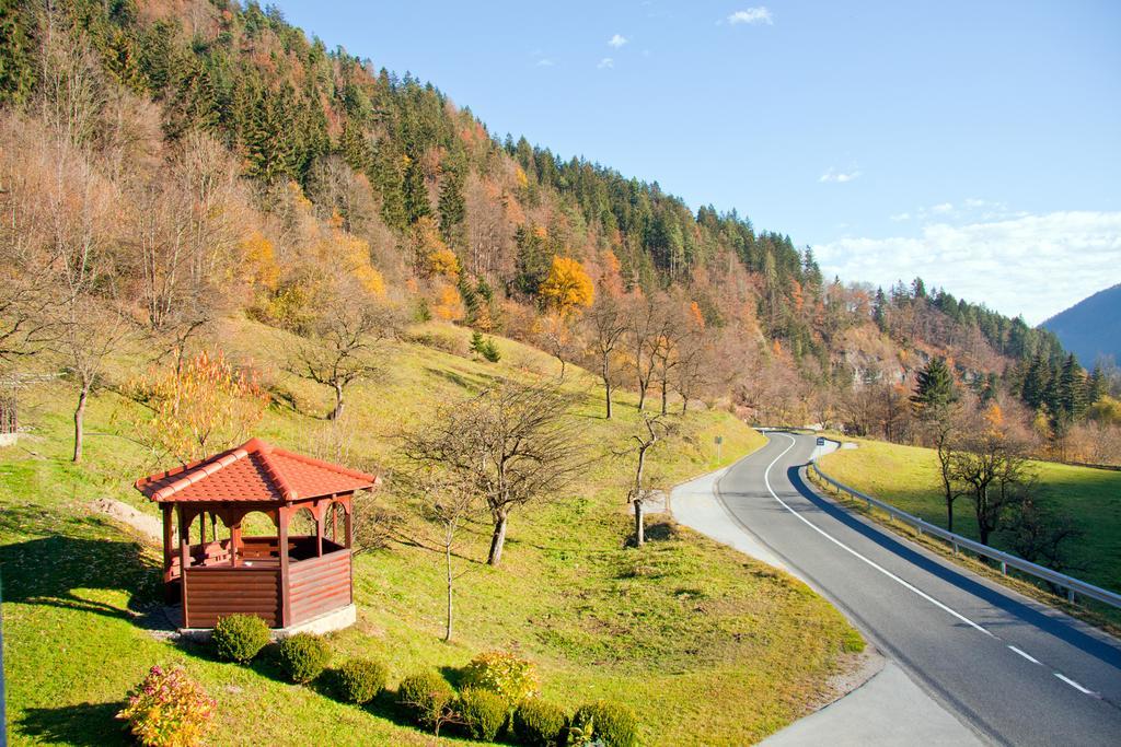 Farm Stay Bukovje Ljubno Eksteriør bilde