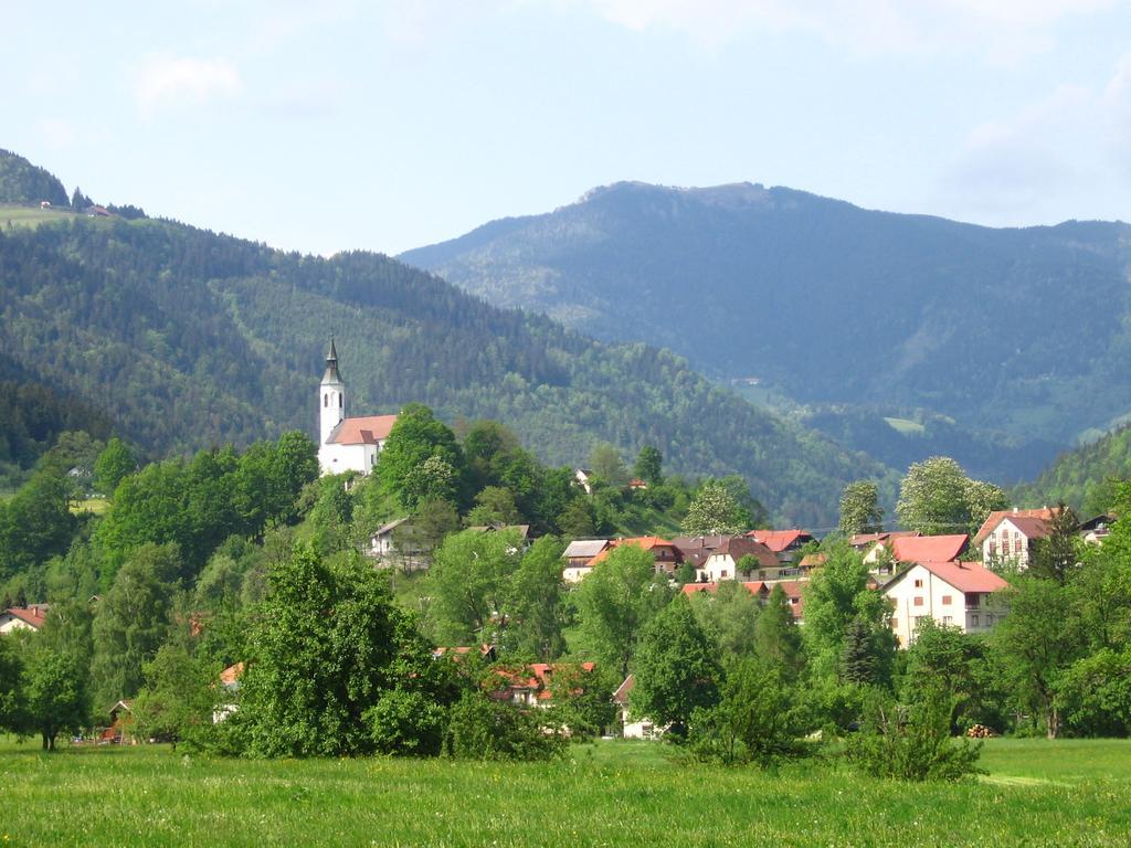 Farm Stay Bukovje Ljubno Eksteriør bilde